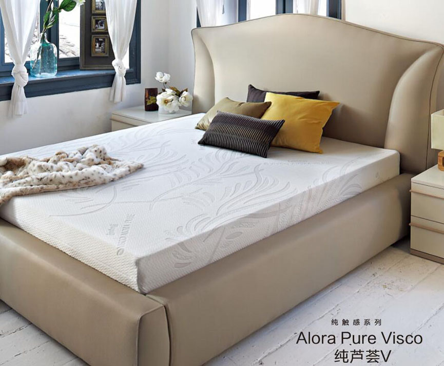 能夠去甲醛的糖心VLOG官网入口純蘆薈V糖心VLOG官网首页